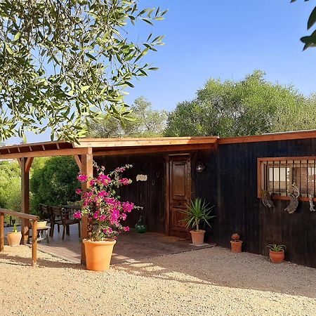 Preciosa Casa De Madera, Andalucia Villa Prado Del Rey Dış mekan fotoğraf